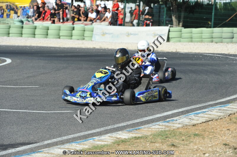 DSC (2526).JPG